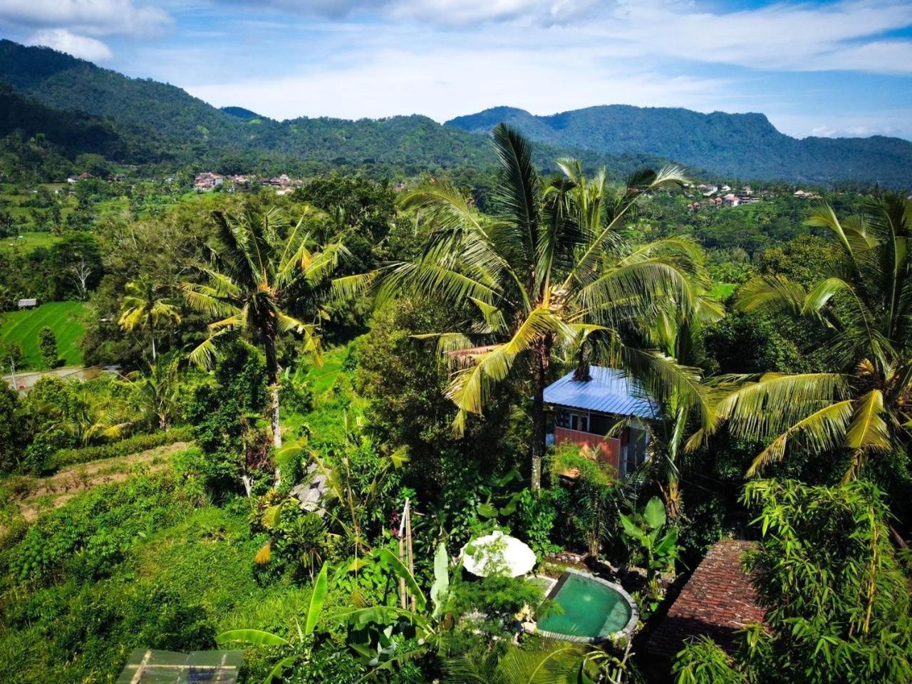Bed and Breakfast Gladak Di Uma Bali Sidemen  Zewnętrze zdjęcie